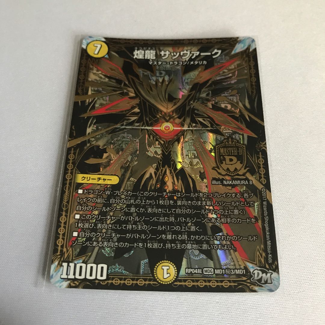 煌龍 サッヴァーク SE2枚