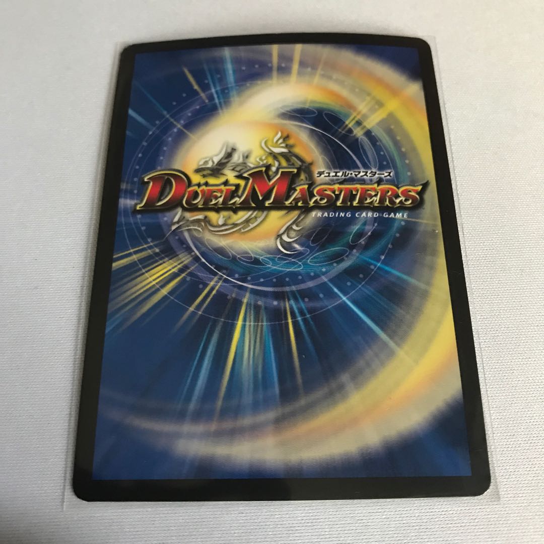 煌龍 サッヴァーク SE2枚