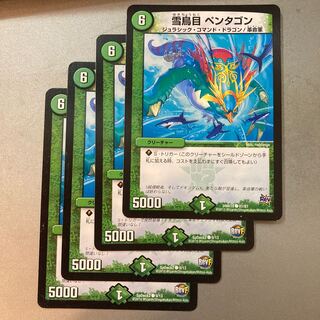 雪鳥目 ペンタゴン