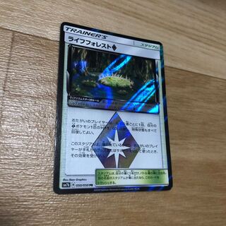 ライフフォレスト 1枚