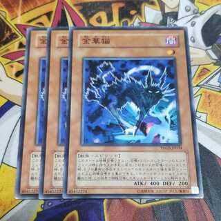 金華猫 N 遊戯王 虎ふぐ