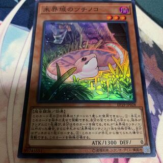 未界域のツチノコ