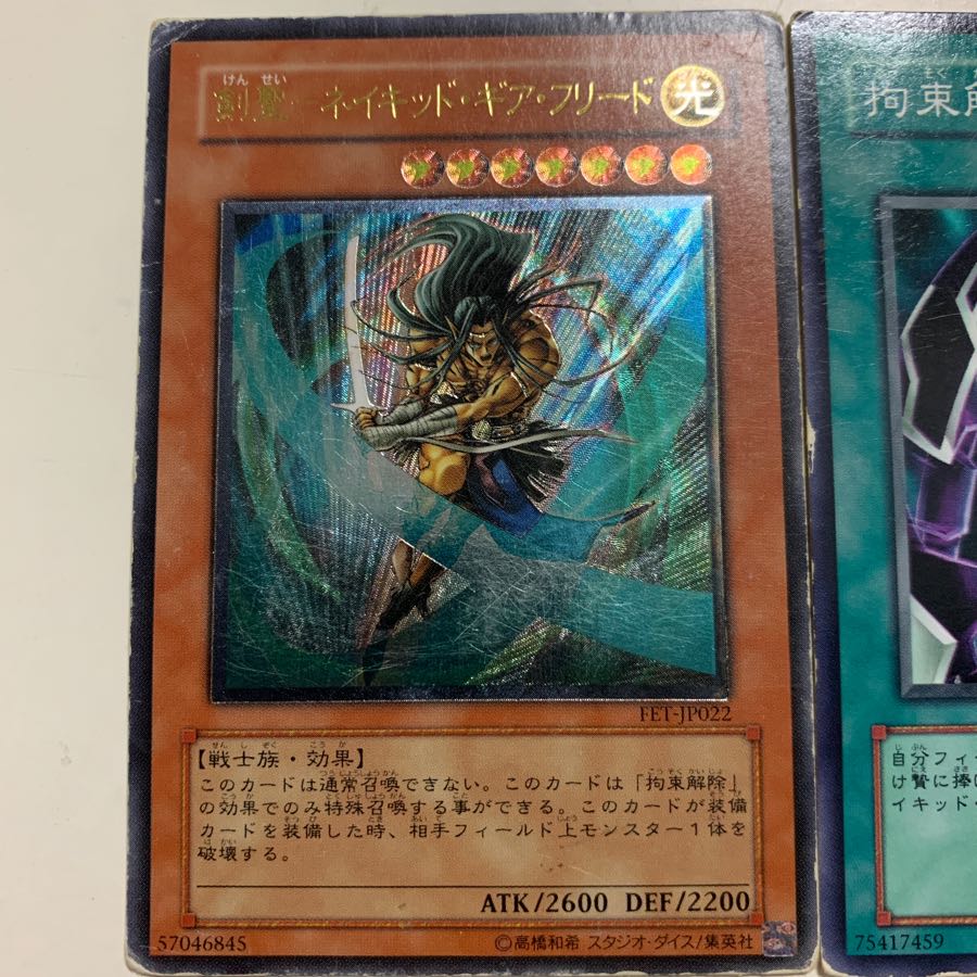 ネイキッドギアフリードセット 1枚