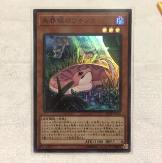 未界域のツチノコ