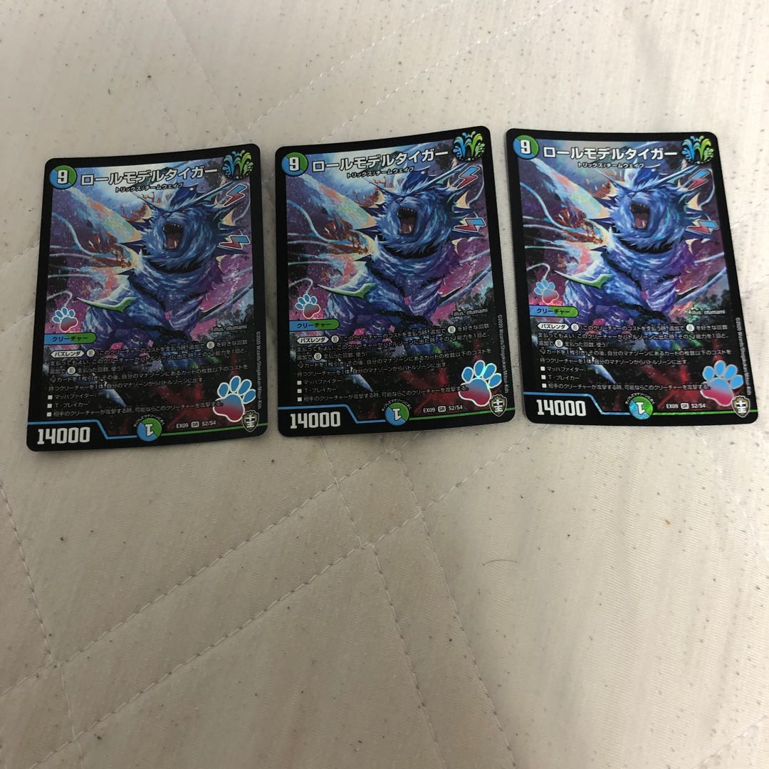 ロールモデルタイガー