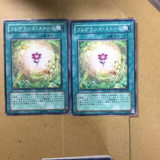 フレグランス・ストーム　２枚