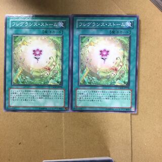 フレグランス・ストーム　２枚