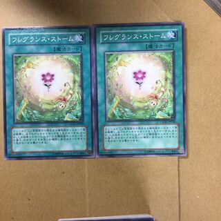 フレグランス・ストーム　２枚