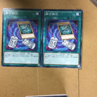2 Fusion Tags