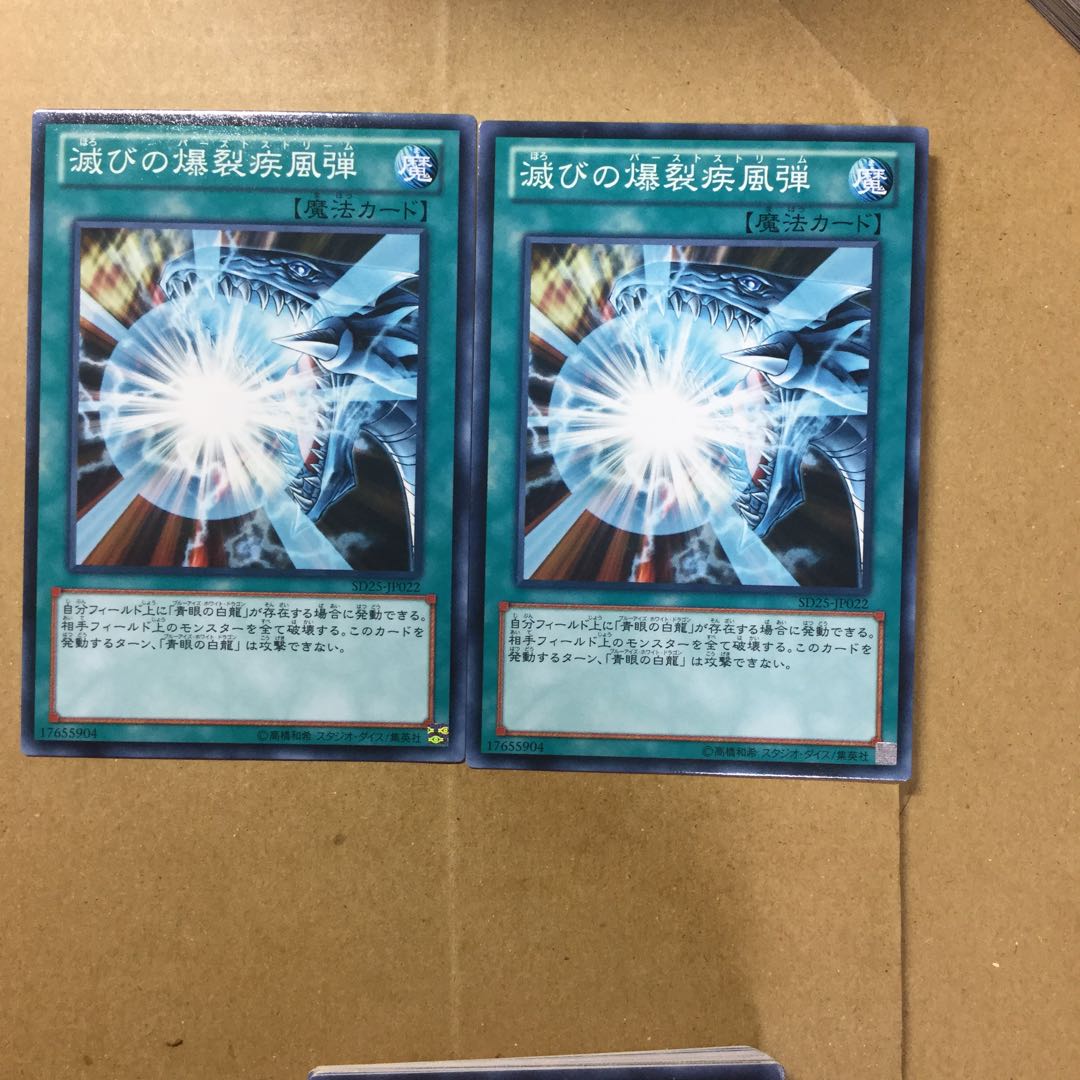 滅びの爆裂疾風弾　２枚