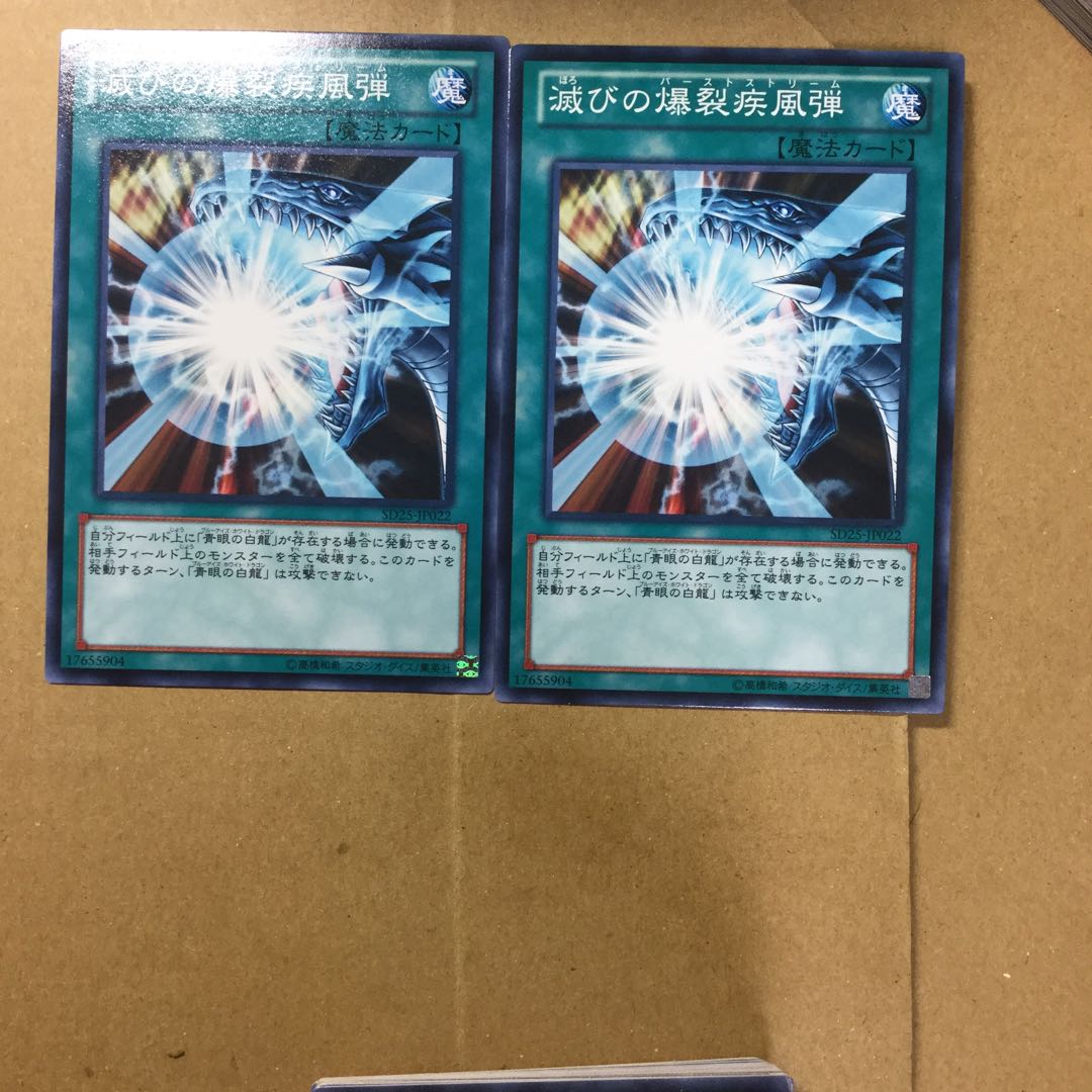 滅びの爆裂疾風弾　２枚