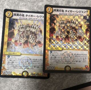 真実の名 タイガー・レジェンド2枚セット