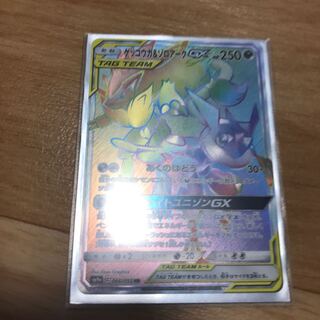 ゲッコウガ&ゾロアーク hr