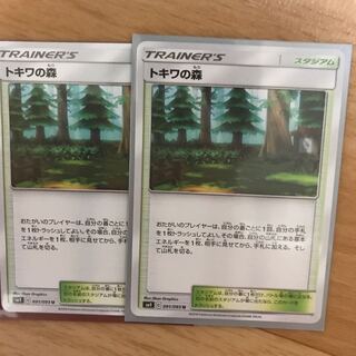 つかへい様専用 1枚