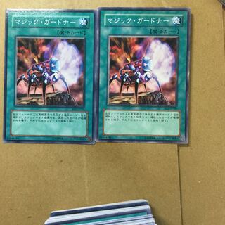 マジック・ガードナー　２枚