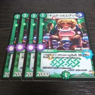 キングシビレアシダケ ホイル