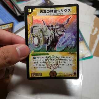 天海の精霊シリウス