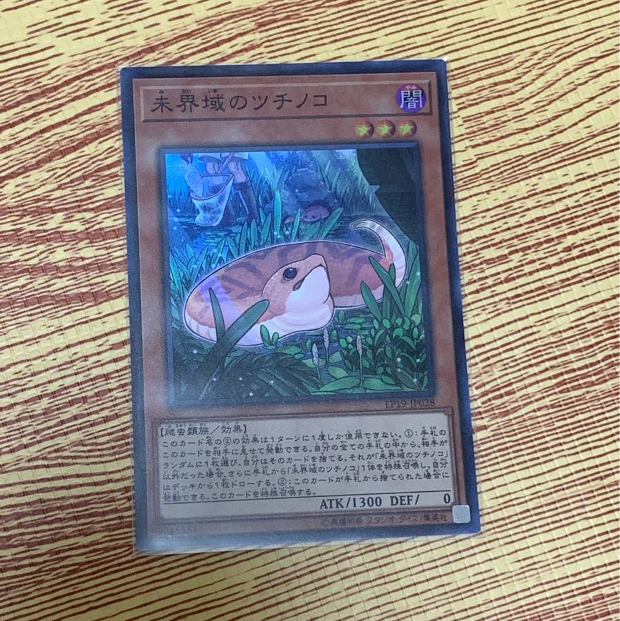 未界域のツチノコ