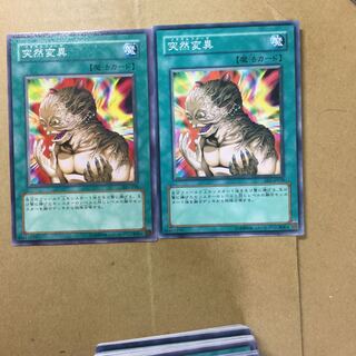 突然変異　２枚