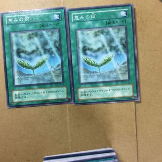 恵みの雨　２枚