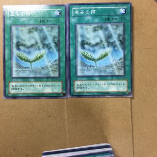 恵みの雨　２枚