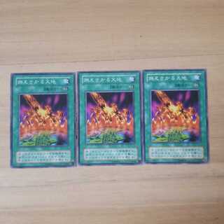 燃えさかる大地　N