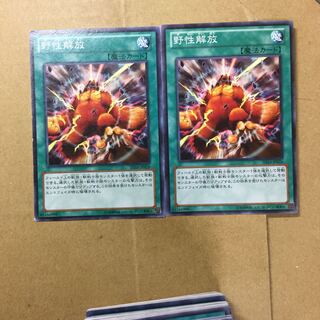 野生解放　２枚