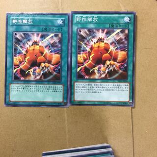 野生解放　２枚