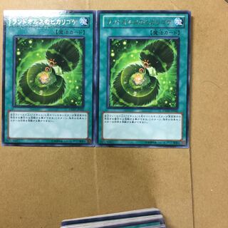 ランドオルスのヒカリゴケ　２枚