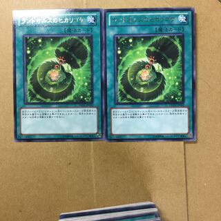 ランドオルスのヒカリゴケ　２枚