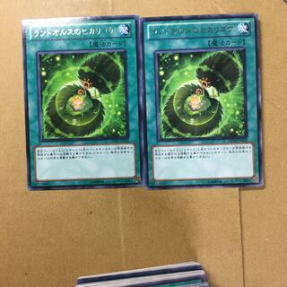 ランドオルスのヒカリゴケ　２枚