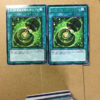 ランドオルスのヒカリゴケ　２枚