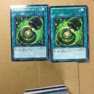 ランドオルスのヒカリゴケ　２枚