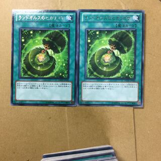 ランドオルスのヒカリゴケ　２枚