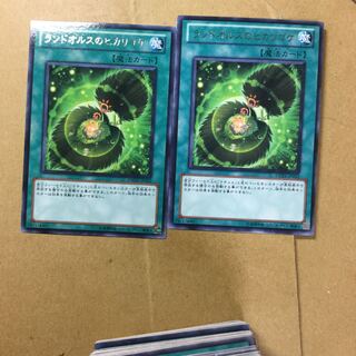 ランドオルスのヒカリゴケ　２枚