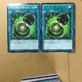 ランドオルスのヒカリゴケ　２枚