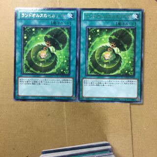 ランドオルスのヒカリゴケ　２枚