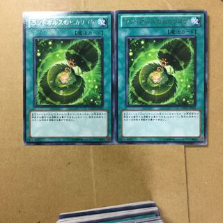 ランドオルスのヒカリゴケ　２枚