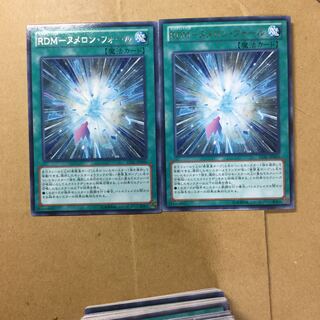 RDM-ヌメロン・フォール　２枚