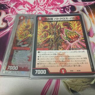 熱血龍 バトクロス・バトル