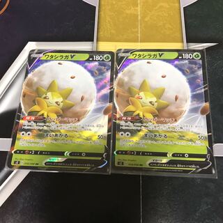 ワタシラガV 2枚