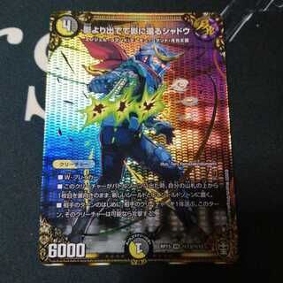 影より出でて影に還るシャドウ シク 1枚