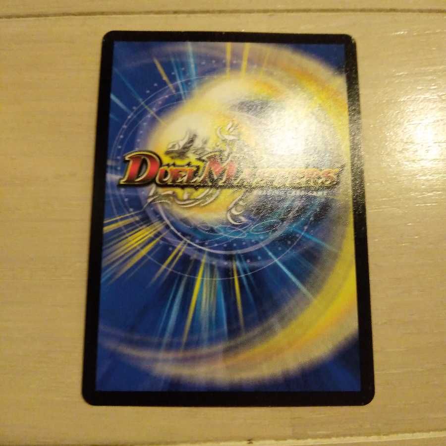 ヴィルヘルム専用