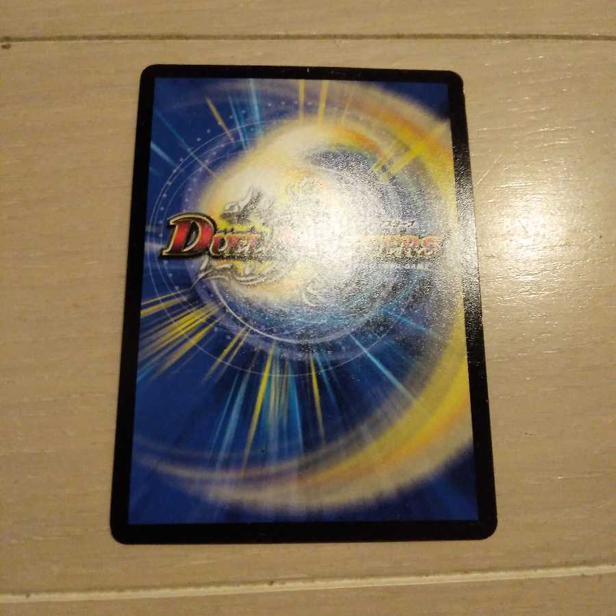 ヴィルヘルム専用