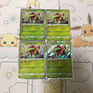 メガニウム４枚セット