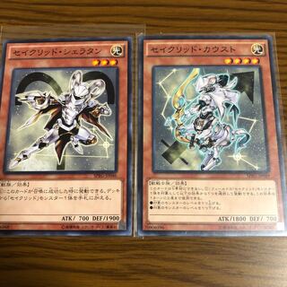 セイクリッドモンスター