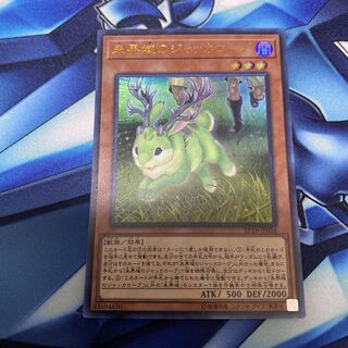 未界域のジャッカロープ ウルトラレア