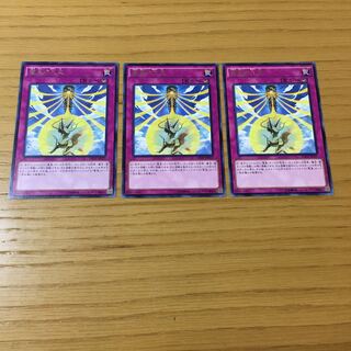 竜星の九支 レア　3点セット