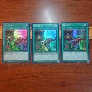 隣の芝刈り スーパーレア 3枚