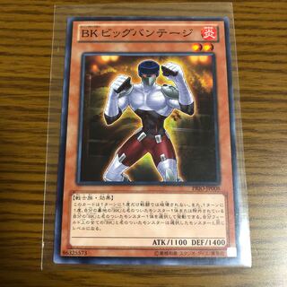 Battlin' Boxer Big Bandage Normal